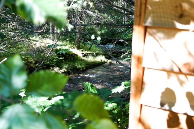 Lodge Alaska's Bear Creek