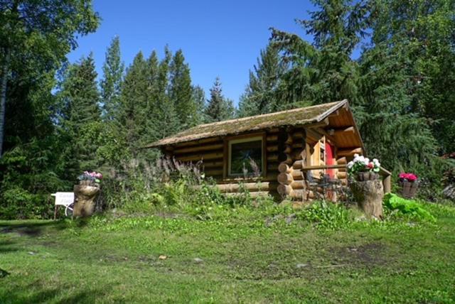 Alaska's Bear Creek