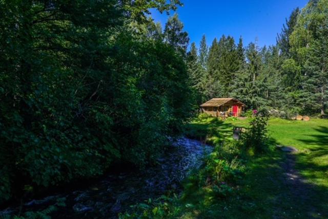 Alaska's Bear Creek Hope